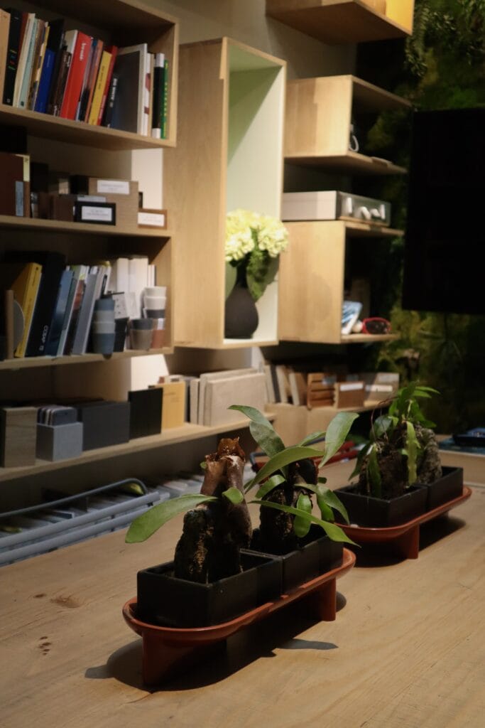 Guide pour choisir et entretenir ses plantes d'intérieur au bureau pour une croissance optimale.

