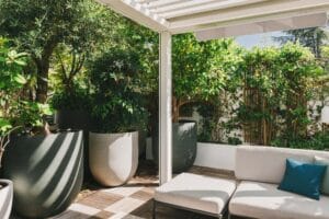 Grands pots circulaires en grès gris abritant des oliviers sur une terrasse en bois à Neuilly