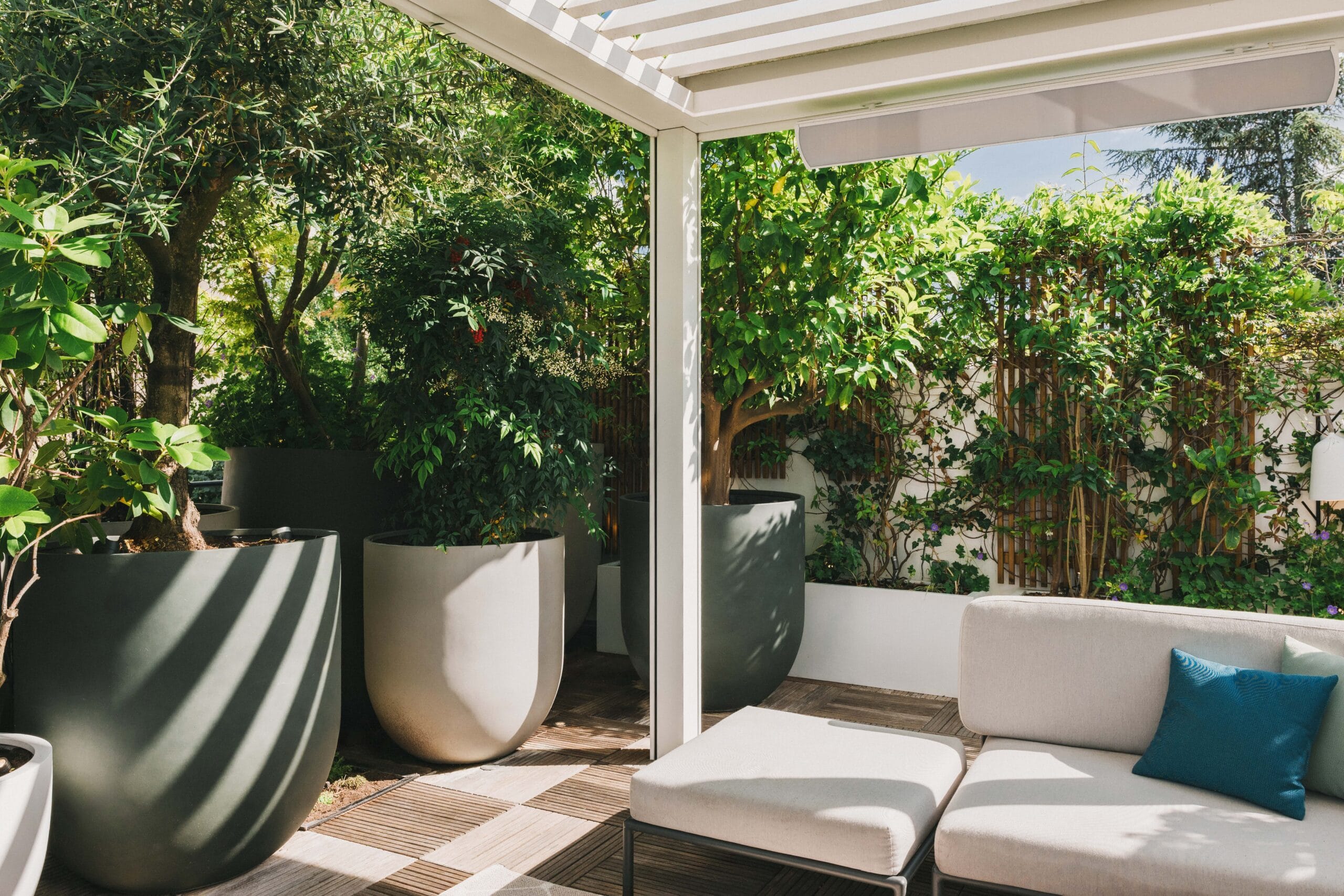Grands pots circulaires en grès gris abritant des oliviers sur une terrasse en bois à Neuilly