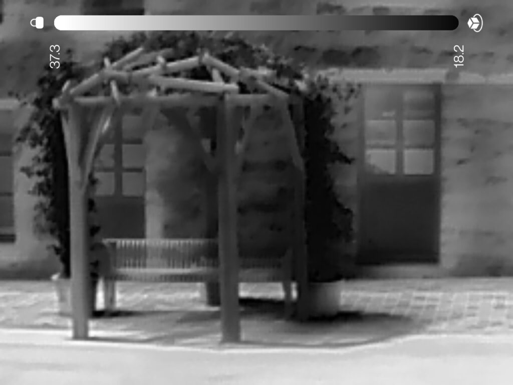 Image thermique noir et blanc de la structure bois Sinallagma