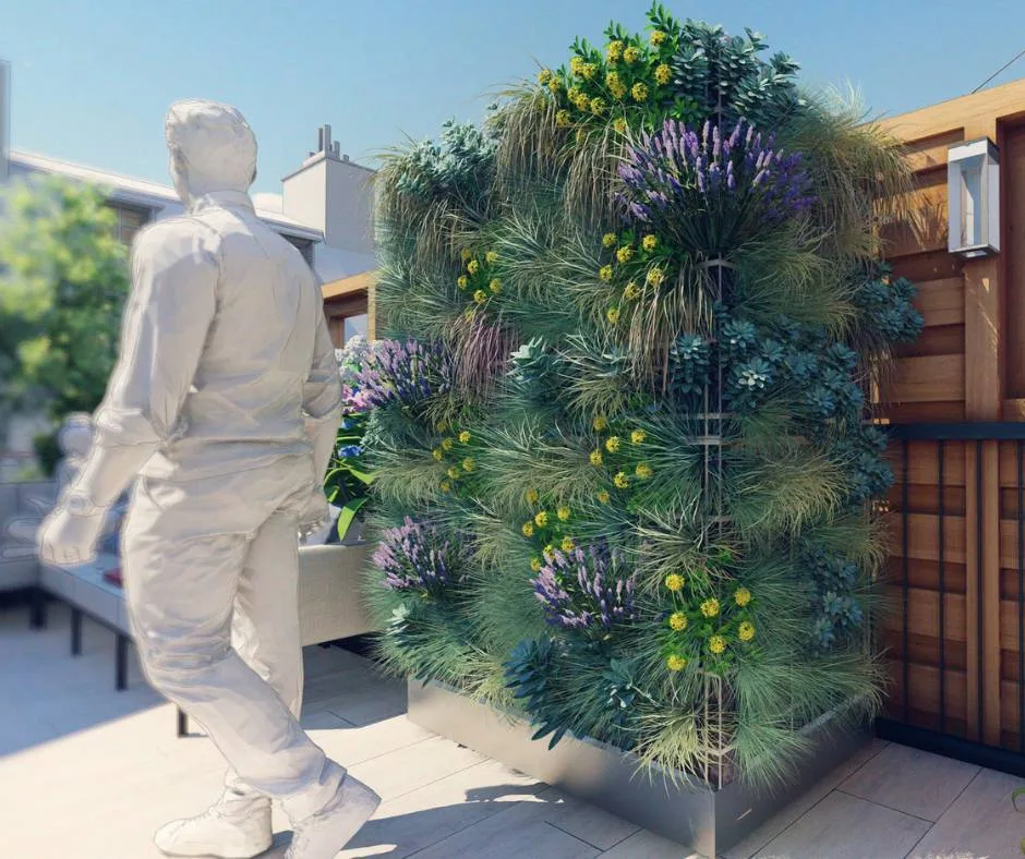 Gros plan sur une paroi végétalisée composée de lavandes, graminées et fleurs jaunes