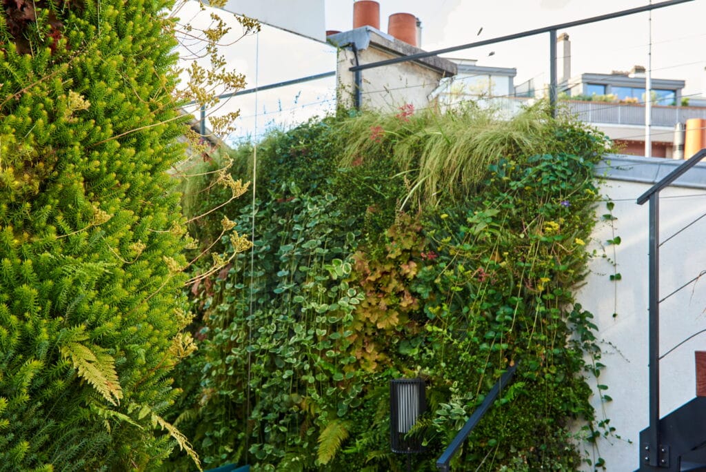 Aménagement balcon Paris vertical - treillage et jardinières suspendues