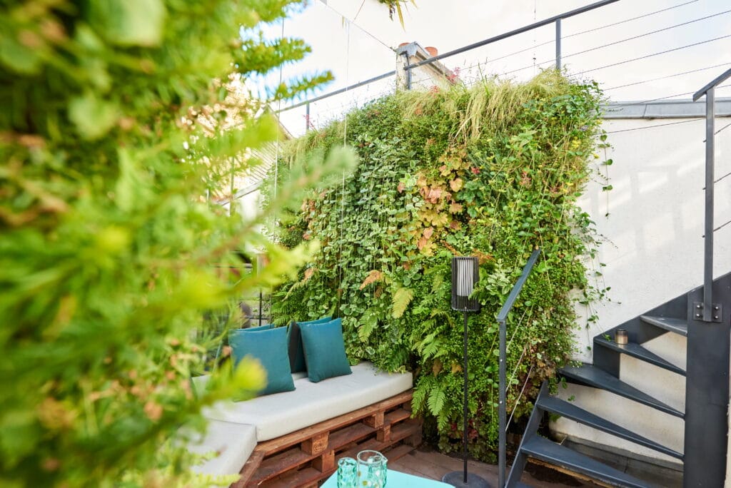 Aménagement jardin Paris mi-ombre - clématite en fleur sur treillage