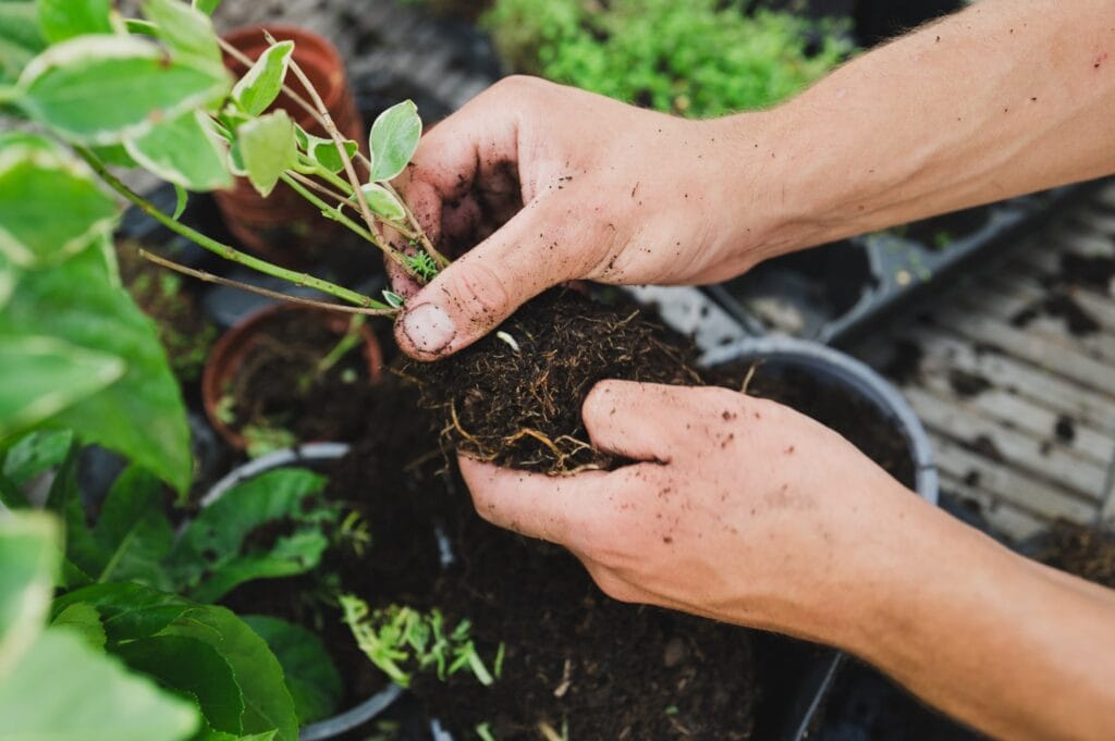 Savoir-faire paysagiste à Paris : jardin sur-mesure