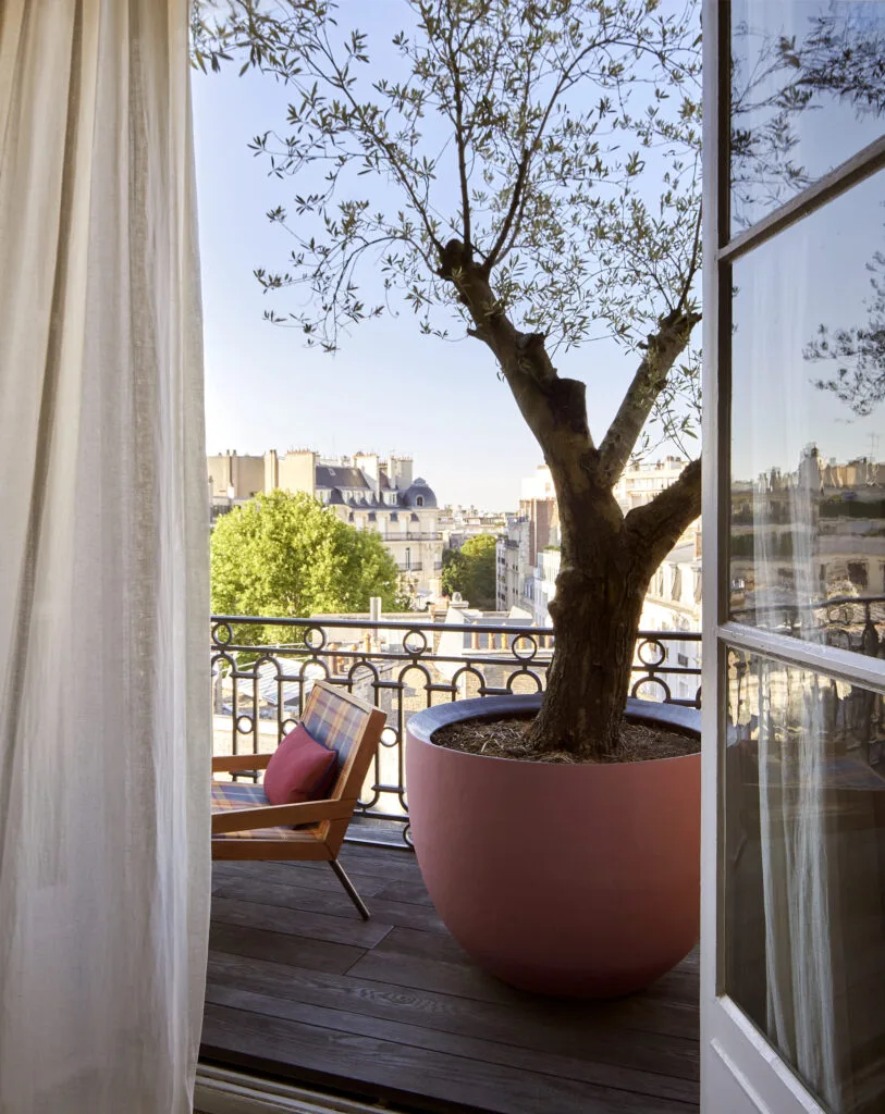 Jardinières fleuries et feuillages sur un balcon haussmannien parisien