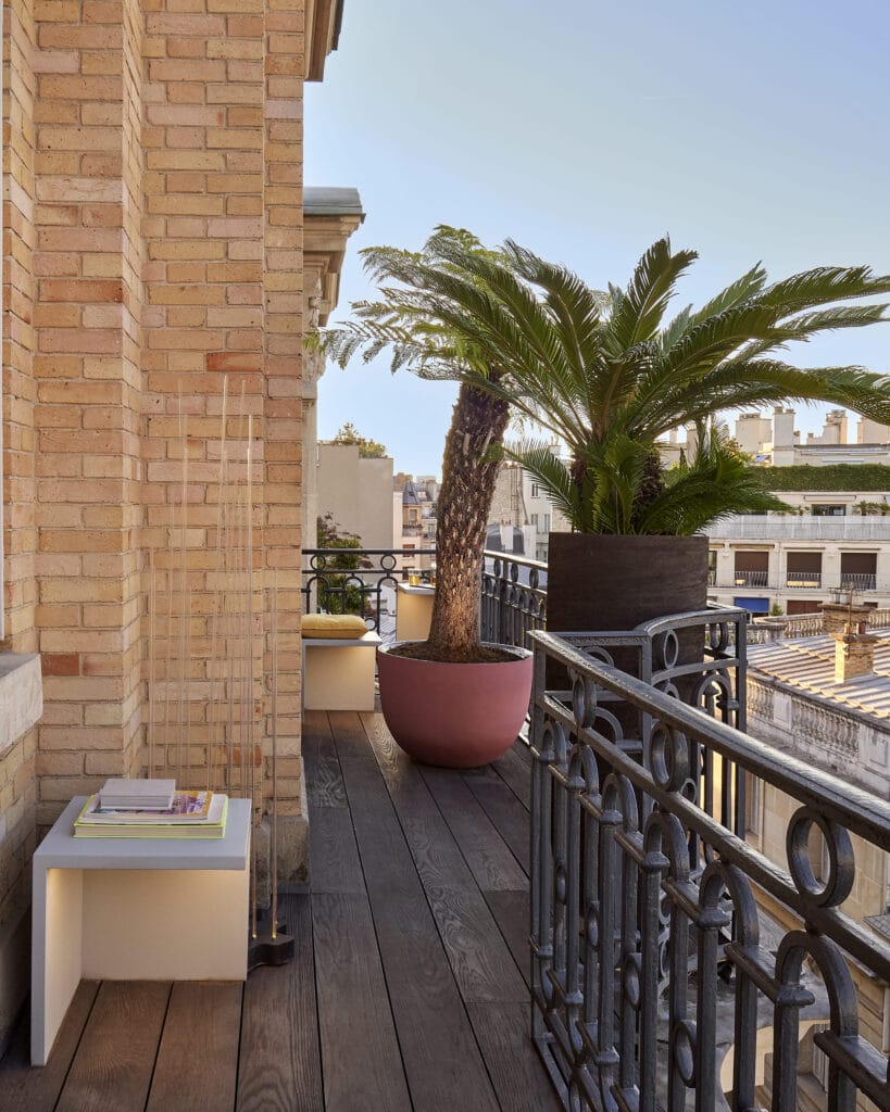 Détail de feuillages et végétaux d'ornement sur une terrasse d'artiste