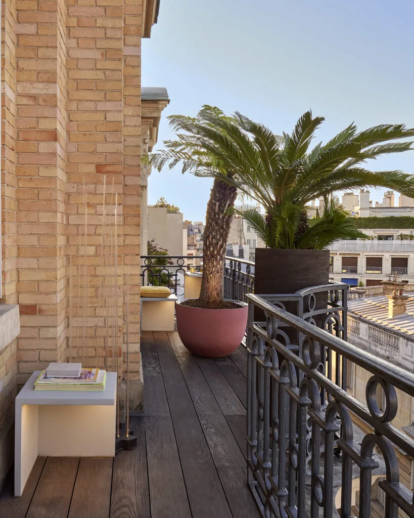 Détail de feuillages et végétaux d'ornement sur une terrasse d'artiste