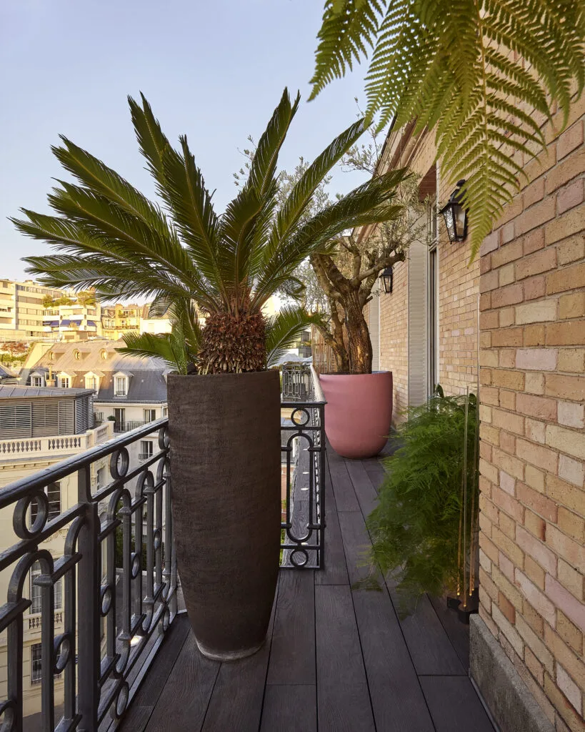 Pots design et plantations soignées sur une terrasse parisienne luxueuse
