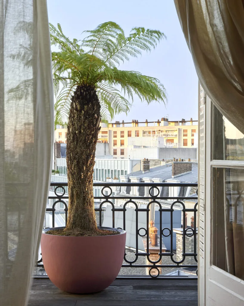 Réalisation signée Terrasse & Jardin de Paris : balcon d'artiste végétalisé dans le 16e