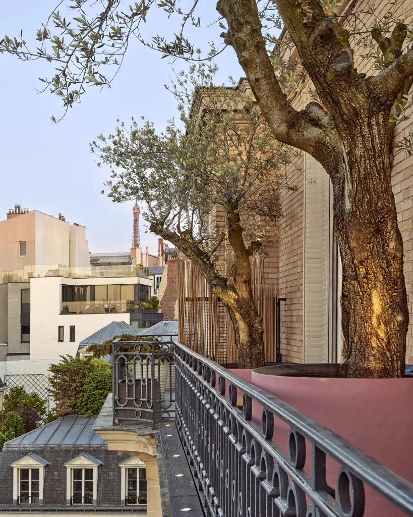 Plantes méditerranéennes et graminées sur un balcon parisien luxueux