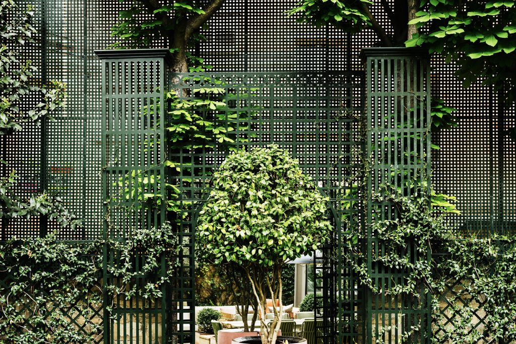 Topiaires taillés en boule dans un jardin parisien entretenu au fil des saisons