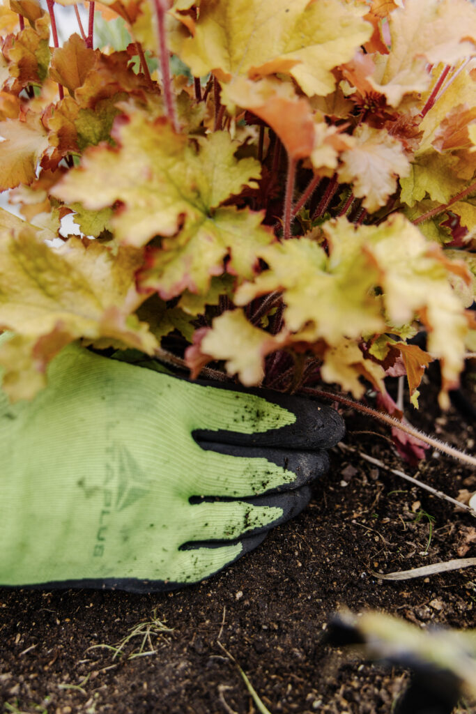 Jardinier apportant de l'engrais au pied d'une plante dans un jardin parisien