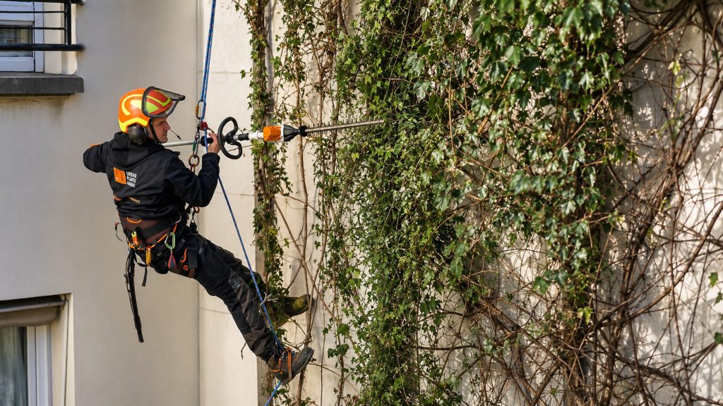Arboriste grimpeur en harnais élaguant un arbre sur corde dans un jardin parisien