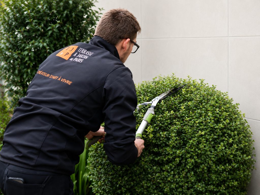 Jardinier paysagiste taillant une haie lors d'une visite d'entretien à Paris