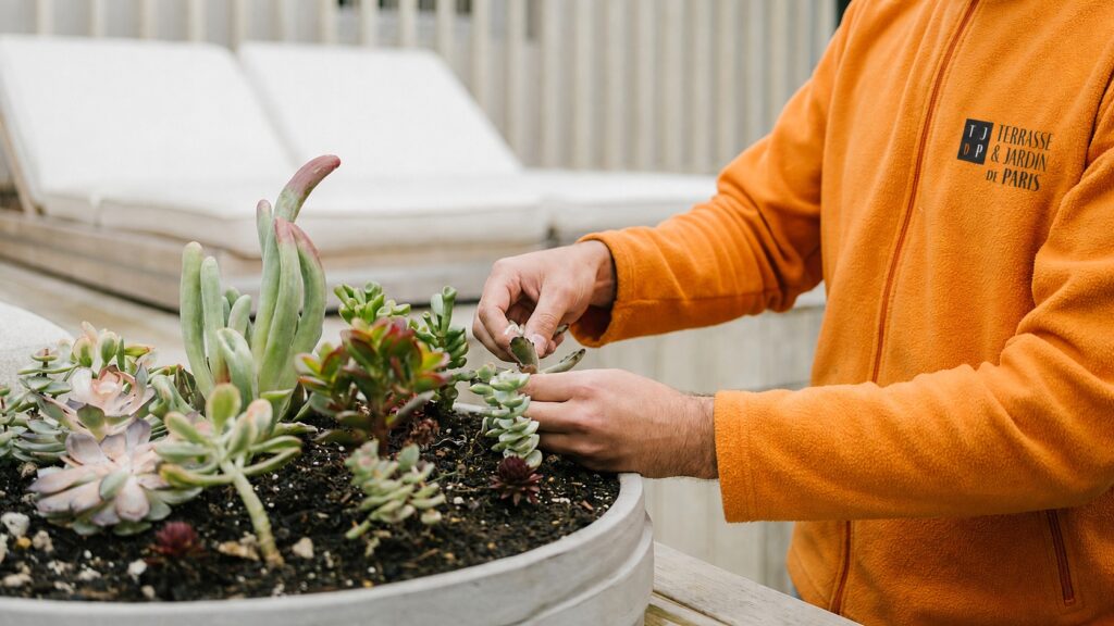 Jardinier paysagiste examinant une plante lors d'une visite d'entretien dans un jardin parisien