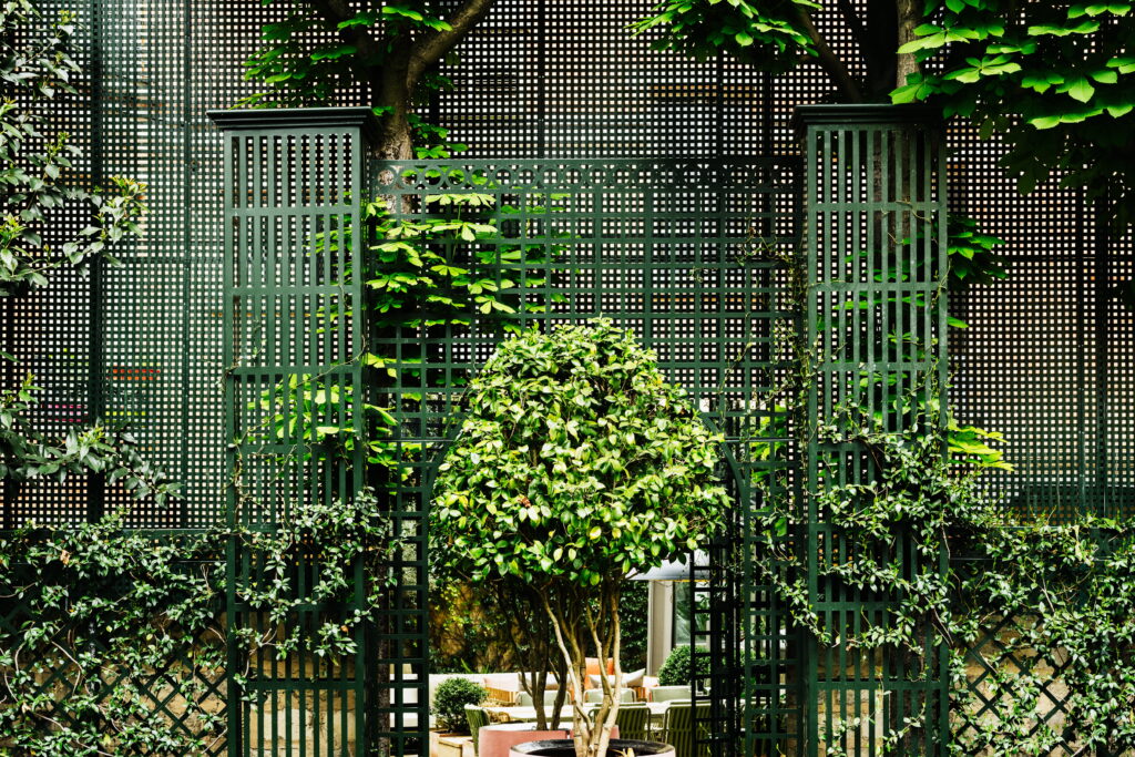 Jardinier élaguant les branches d'un arbre dans un jardin parisien