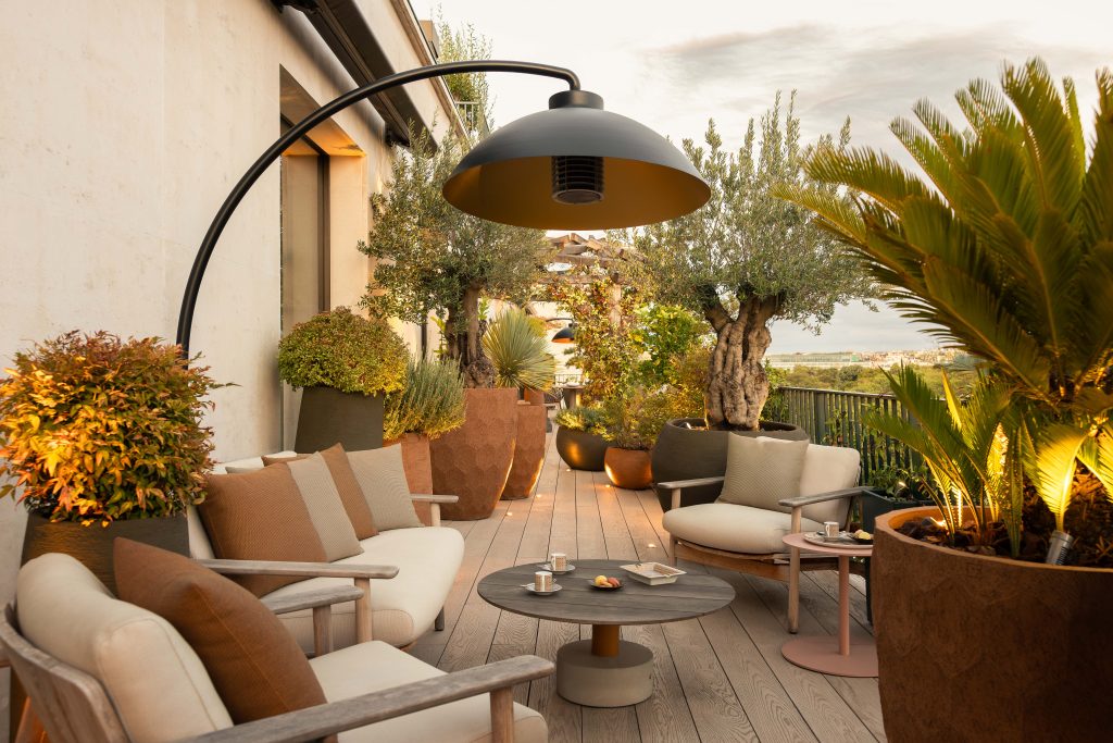 Conception et réalisation d'une terrasse végétalisée à Neuilly-sur-Seine : sujets formés, essences rares et composition pensée pour durer. En photos.