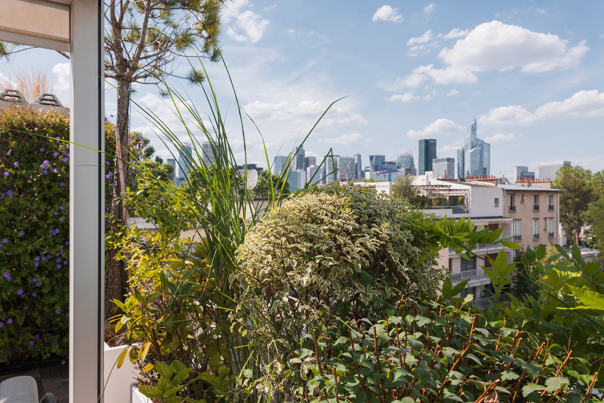 Plantes résistantes au vent, terrasse urbaine plantée de graminées et vivaces, pergola blanche et vue sur la ville