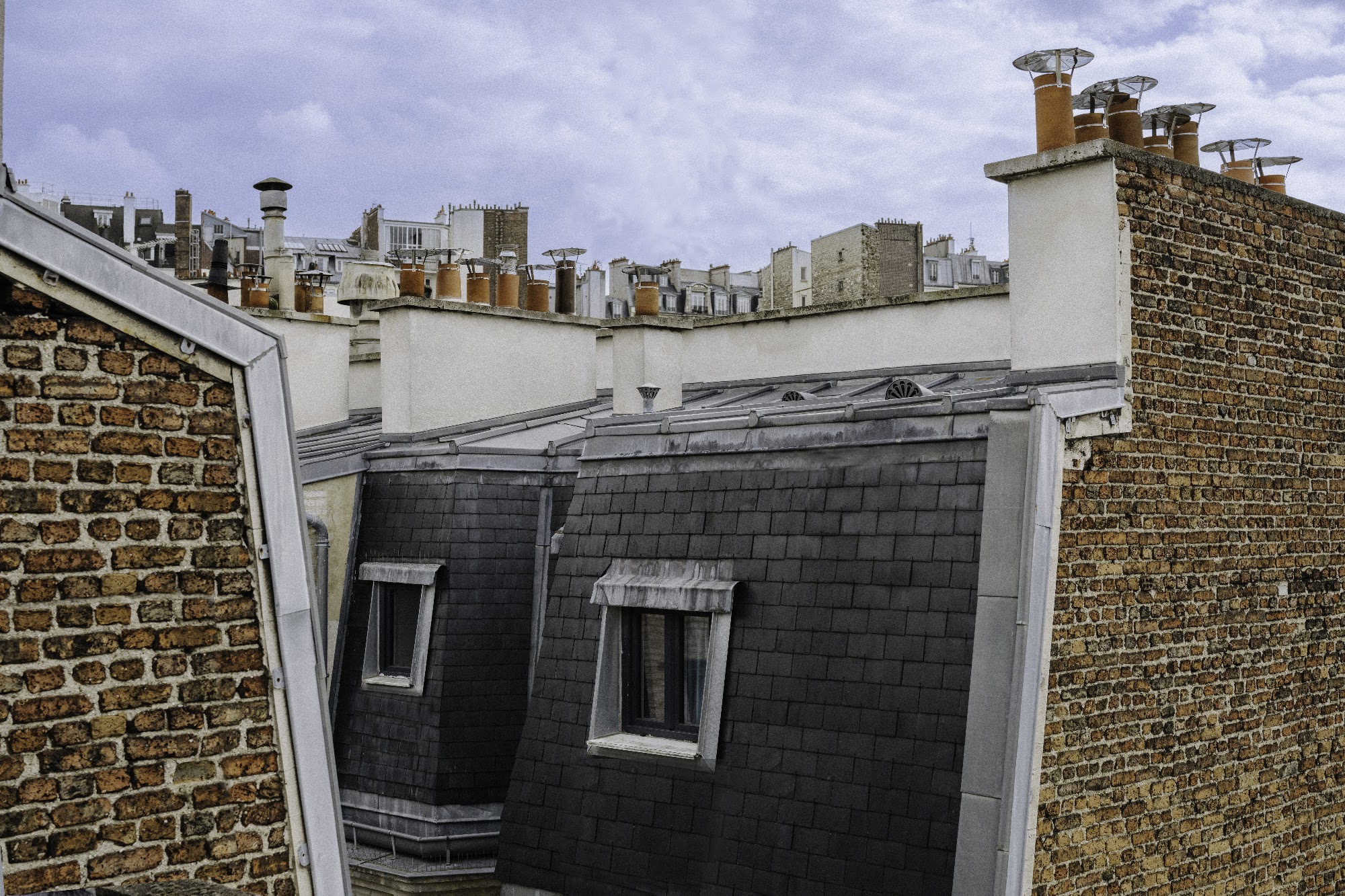 Toiture parisienne en ardoise et cheminées de brique, exposée au vent qui menace les plantes de toit-terrasse